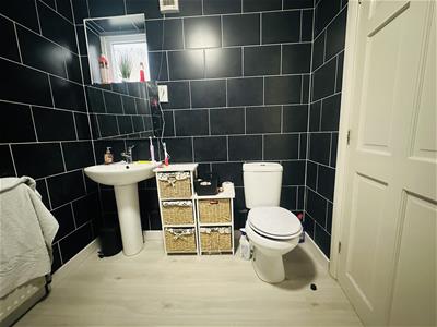 Picture 13
